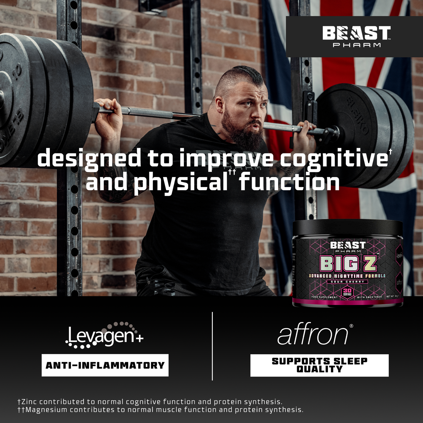 BIG Z Powder Advanced Nighttime Formula